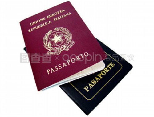 45天拿到省提名？秦皇岛快速移民中介机构的“加速通道”到底靠不靠谱