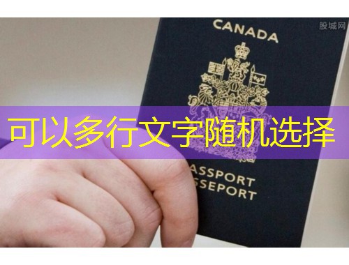 “哪家移民中介好”——别让广告替你决定，用这四步筛出真行家