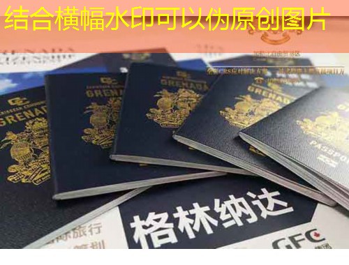 南京国外移民中介：如何挑选靠谱伙伴，把“出国梦”变成“落地签”