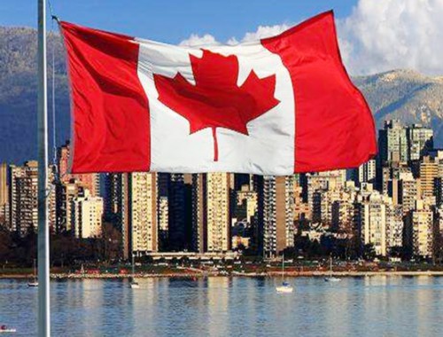 青岛移民中介地址怎么选？三步锁定靠谱办事处