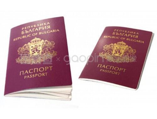 土耳其移民靠谱中介：三步锁定你的“零踩坑”通道