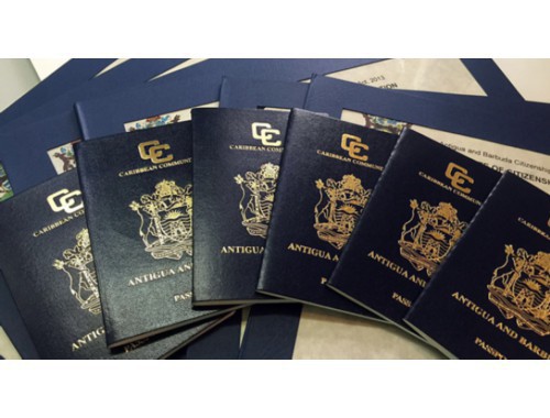 从羊城到世界：广州移民中介服务如何帮你“一键通关”