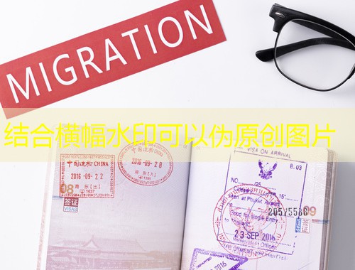 从黄浦江畔到莱茵河边：上海德国移民项目中介如何帮你“稳准狠”落地欧洲