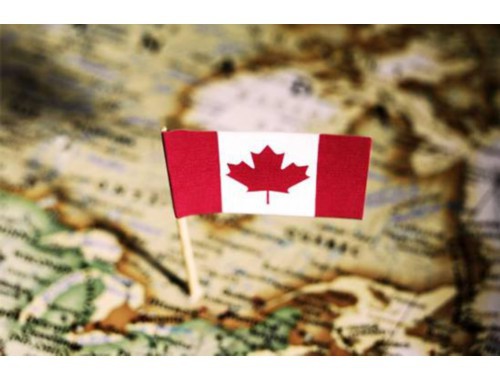 办理移民有移民中介：别让信息差拖慢你的全球通行证