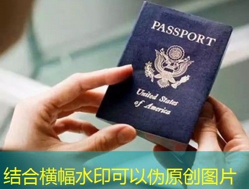 从绿城到世界：南宁人为何悄悄把“移民规划”提上日程？