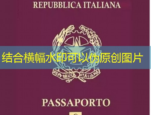 从椰城到全球：海口移民中介机构如何帮你把“移居”变“宜居”