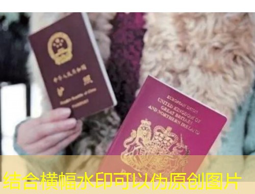 浙江移民中介哪个最好？三步锁定靠谱机构，少踩90%的坑