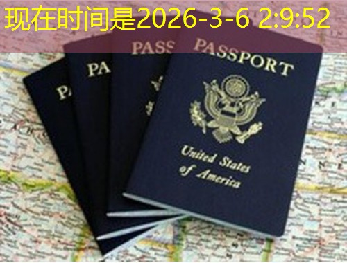 从“海河英才”到枫叶卡：天津人挑移民中介的隐形标尺