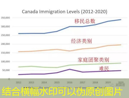 重庆移民中介哪个公司好？三步锁定靠谱伙伴