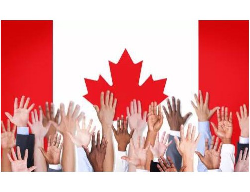 从“信息迷宫”到“一键直达”：移民中介公司网站如何帮你把复杂流程拆成简单三步