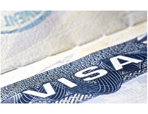 广东护照移民中介公司：如何挑对“出海搭子”，一次搞定身份+资产双规划