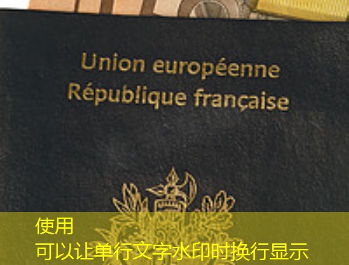 从沈阳到多伦多：辽宁移民中介公司如何帮你把“想走”变成“落地”