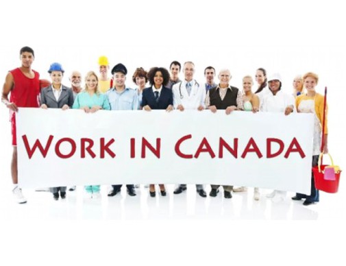 从沈阳出发，30天拿到泰国精英签证：东北人的“曼谷后花园”计划