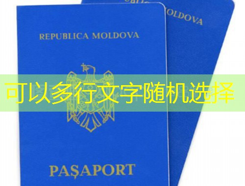 从长白山到湄南河：吉林泰国移民中介全景指南