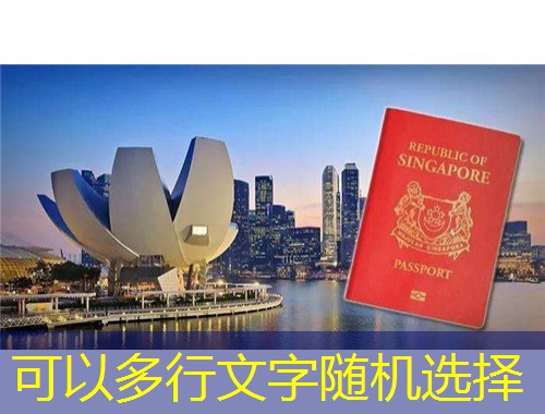 40天拿护照？揭秘土耳其快速移民中介的“超速通道”！
