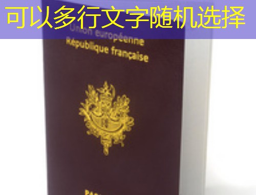 三步筛出靠谱移民中介，别让绿卡梦变“学费”