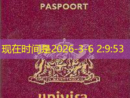 潮汕护照移民中介机构：如何挑到“会讲潮汕话”的全球通行证管家