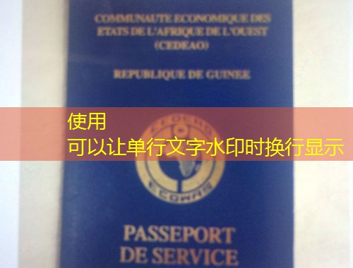 纽约移民中介：在“大苹果”把复杂流程变简单