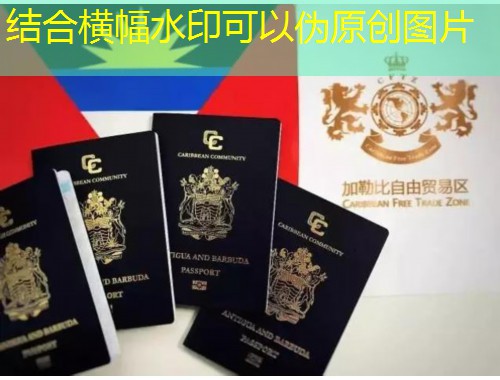 从长沙到伊斯坦布尔：湖南土耳其移民中介公司如何帮你一步到位拿护照