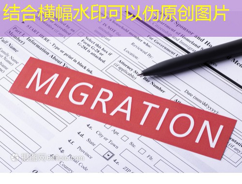 从冰城到微笑之国：哈尔滨人泰国移民的“避坑”与捷径