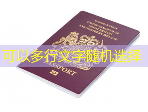 深圳移民中介机构：如何挑到“隐形冠军”，让身份规划一步到位？