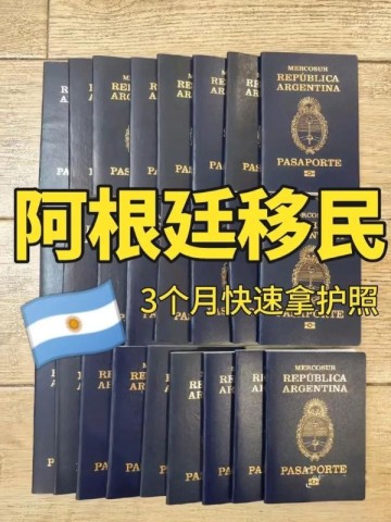 阿根廷案例