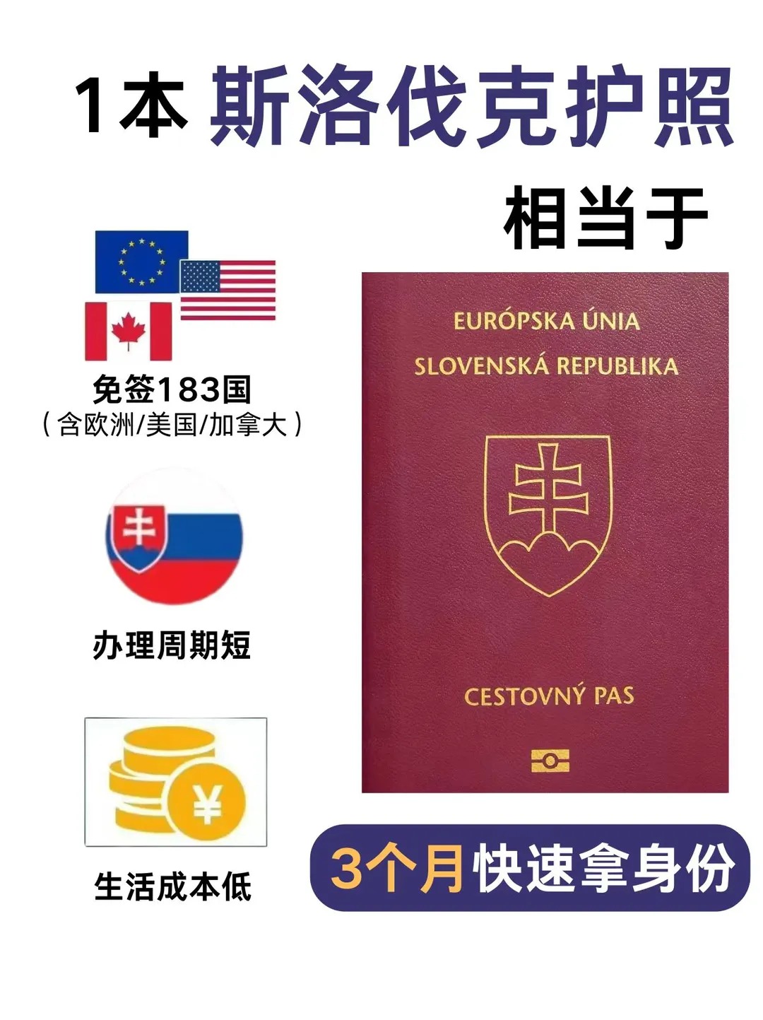 移民欧洲敲门砖,斯洛伐克护照直接封神❗️_1_丹尼假期咨询中介_来自小红书网页版.jpg