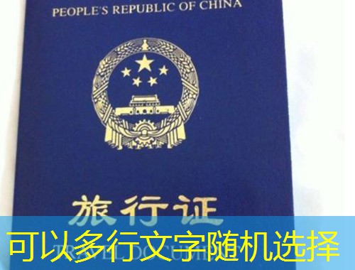 南通维多利亚移民中介：解锁全球身份的“隐形钥匙”